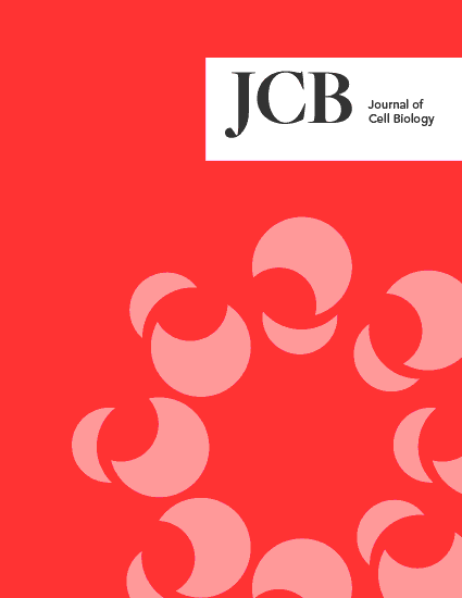 Issue Cover