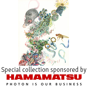 Special Collection Image