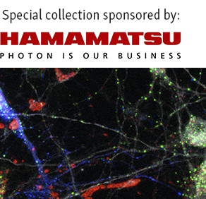 Special Collection Image