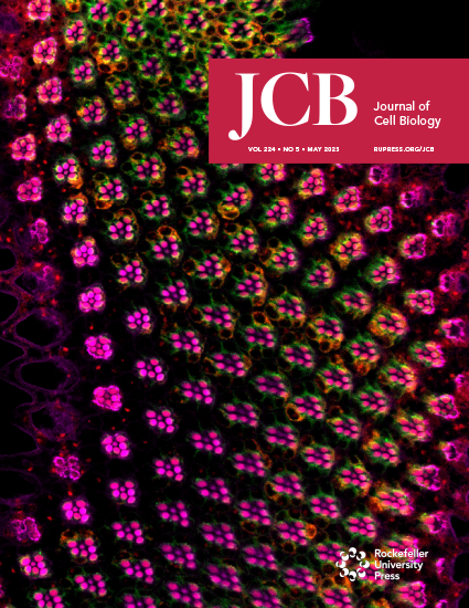 Journal of Cell Biology Cover Image for Volume 224, Issue 5