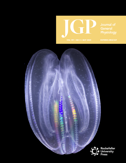 Journal of General Physiology Cover Image for Volume 157, Issue 3